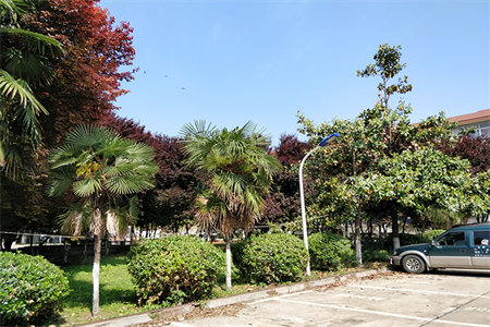 带100平私家大露台！恒大名都三楼东边户精装三房随时看